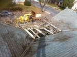 Out of control Wysteria growing over roof after pruning