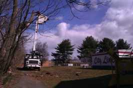 Removing a hazardous dead tree for City Line Little League