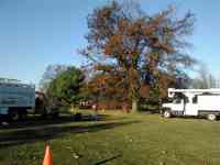 Before elevating and trimming back a memorial tree from hole #7 at the Bethelehem Municipal Golf course.